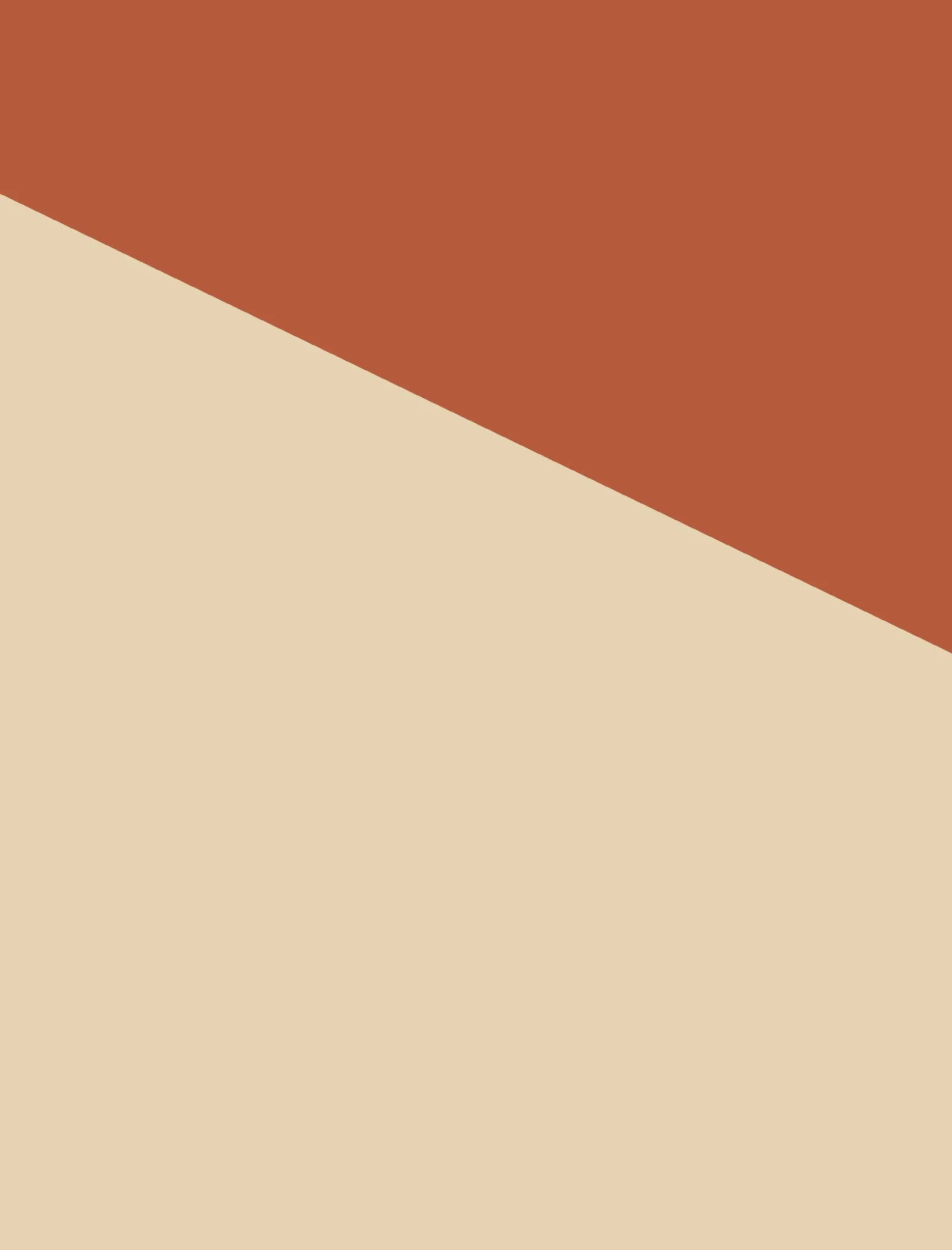 [Work title] C1