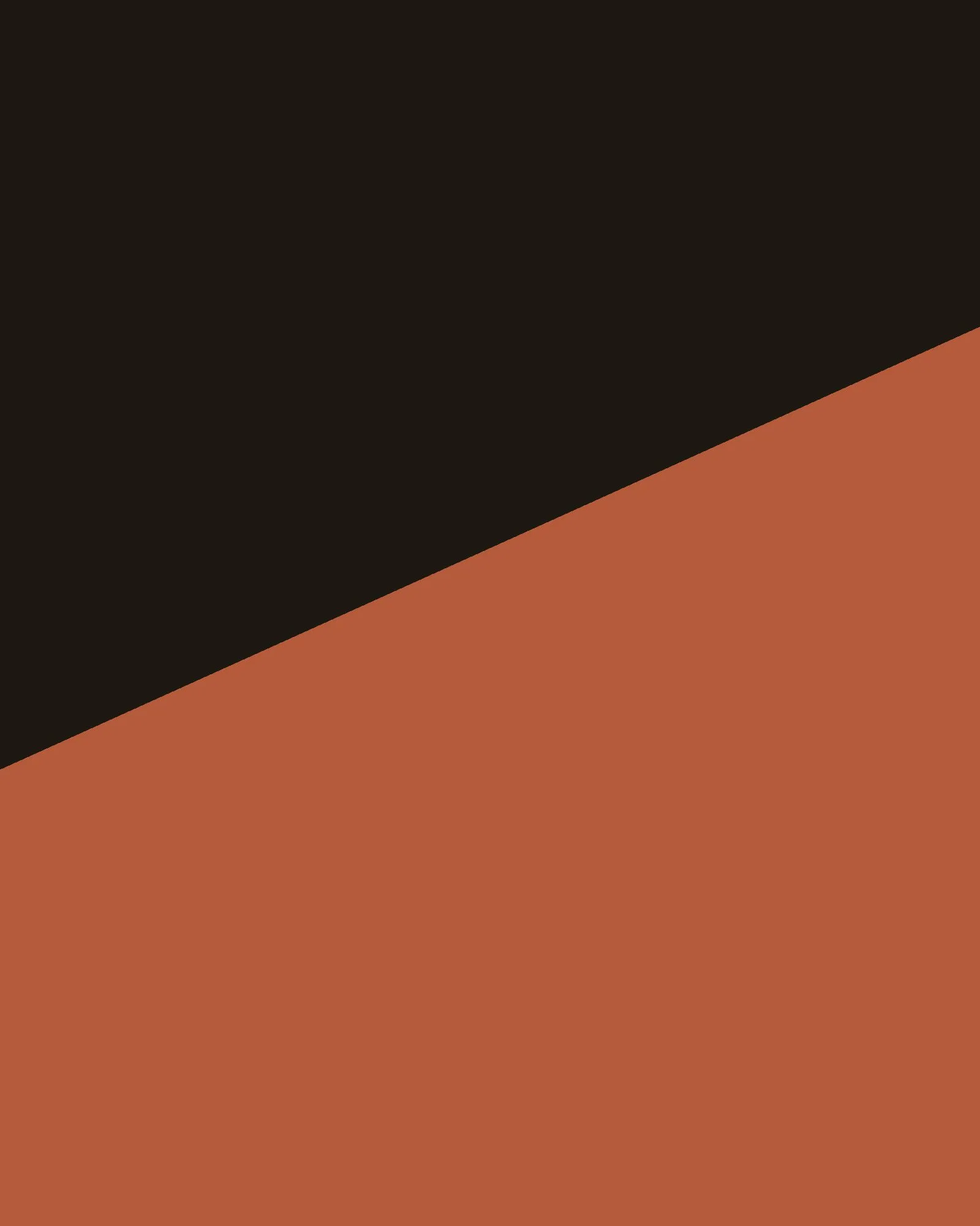 [Work title] C2