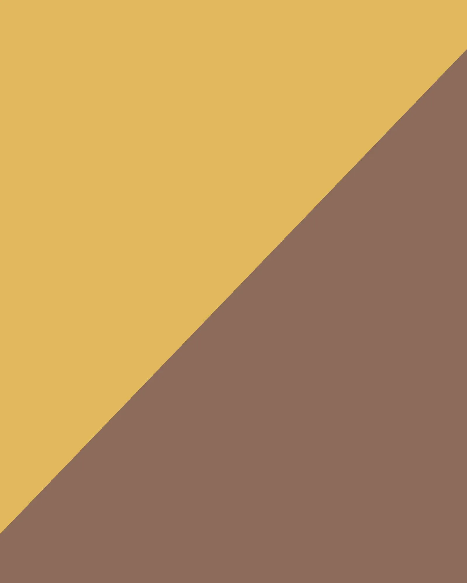 [Work title] X2